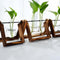 Maceta de Cristal para Plantas