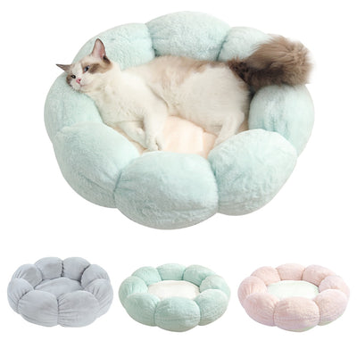 Arena para Gatos Premium Gruesa y Térmica