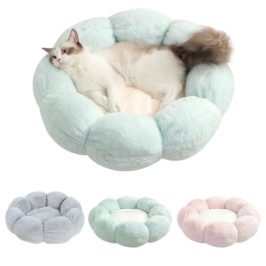 Arena para Gatos Premium Gruesa y Térmica