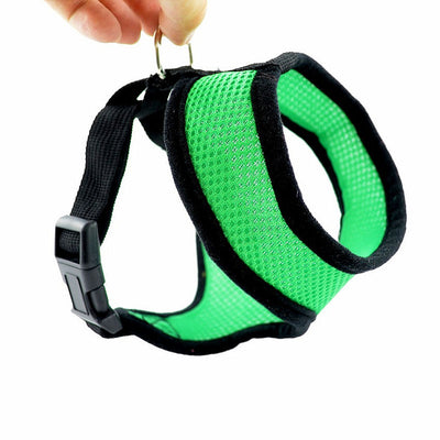 Chaleco Acolchado para Perros Pequeños y Gatos - Image 4
