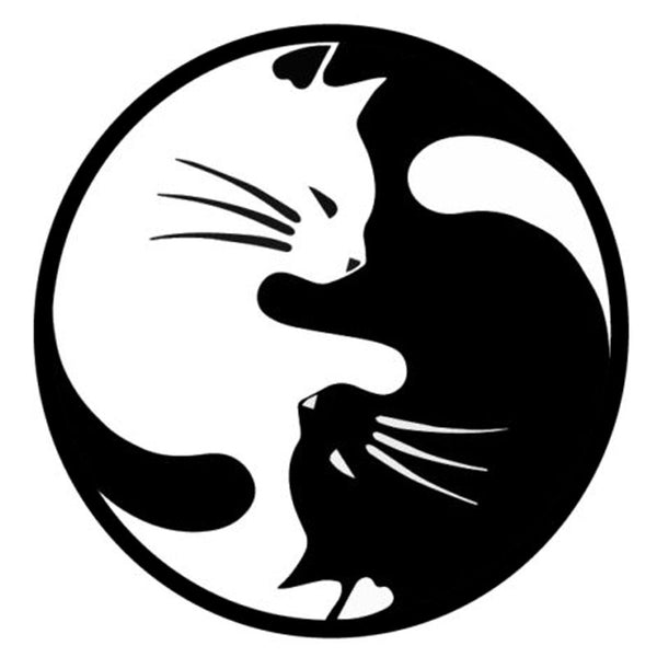 Adhesivo Reflectante de Gato Cartoon para Auto - Image 13