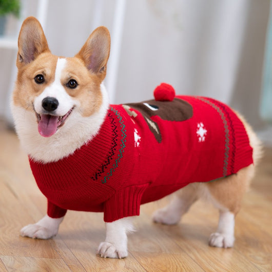 Abrigo Acolchado Térmico para Shiba Inu - Protección Invernal - Image 6