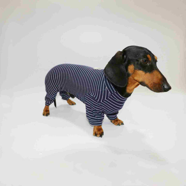 Ropa a Rayas para Perros y Gatos - Diseño Elegante y Cómodo