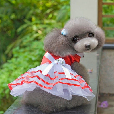 Vestido Princesa Ligero para Perros Pequeños - Colección Primavera Verano - Image 8
