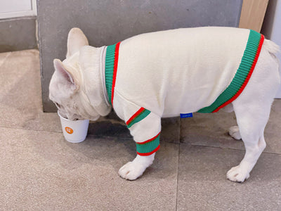 Abrigo Invernal para Mascotas Bichón, Schnauzer y Gatos - Image 3
