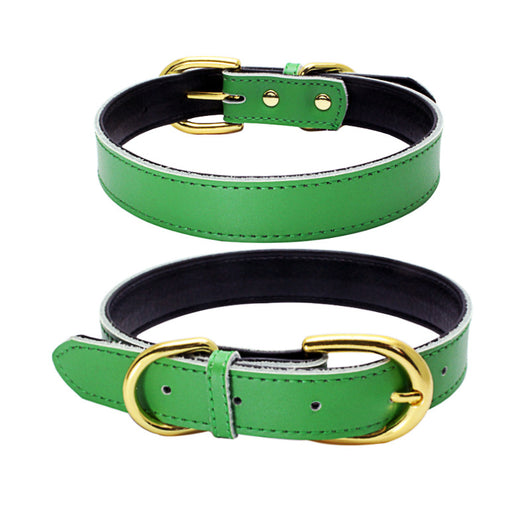 Collar para Mascotas de Cuero Genuino - Image 4