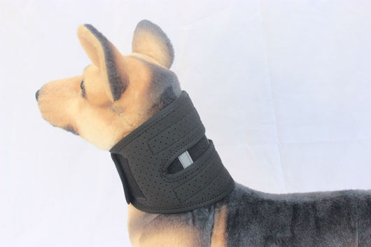 Collar de Soporte Veterinario Ajustable - Protección Anti-lametazos para Perros Pequeños, Medianos y Grandes - Image 14