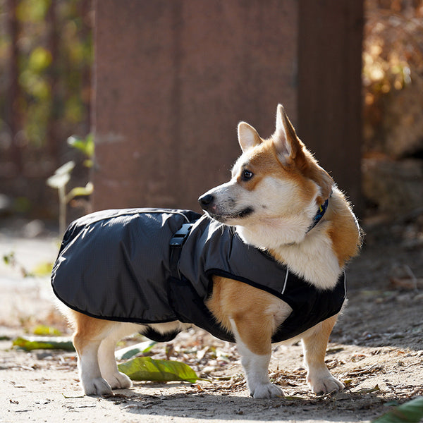 Impermeable para Perros con Protección Total