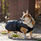 Impermeable para Perros con Protección Total
