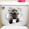 Gato 16