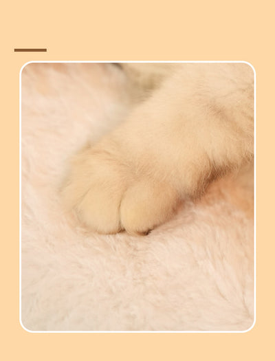 Cama Térmica Acogedora para Gatos y Perros Pequeños - Nido Cálido y Confortable - Image 11