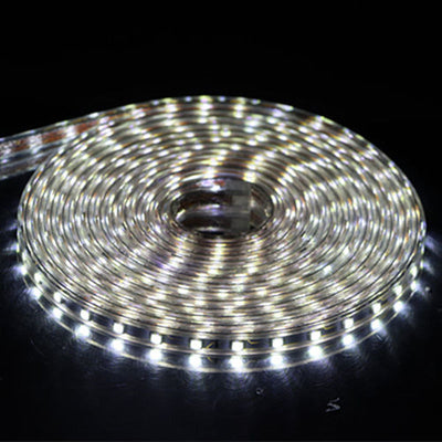 Cinturón Luminoso de Alto Voltaje - Image 19