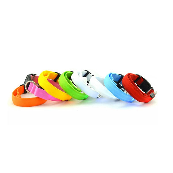 Collar Luminoso Fluorescente para Perros