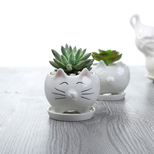 Maceta de Cerámica para Suculentas - Decoración Elegante para Balcón - Image 6