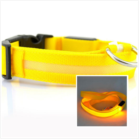 Collar LED Luminoso para Perros - Image 6