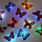 Pack de 12 Luces LED Mariposa Nocturna