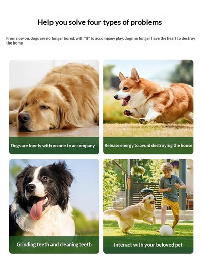Juguete de Peluche 'Celular' con Sonido para Morder y Limpiar Dientes - Image 18