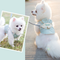 Conjunto de Arnés y Correa Adorable para Perro