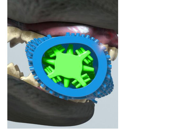 Cepillo Dental Canino con Tecnología de Punta de Diamante