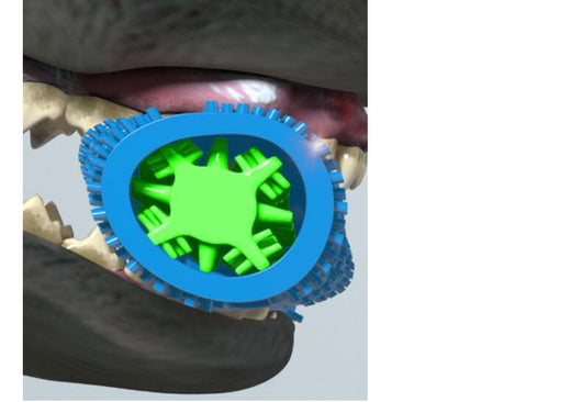 Cepillo Dental Canino con Tecnología de Punta de Diamante - Image 2