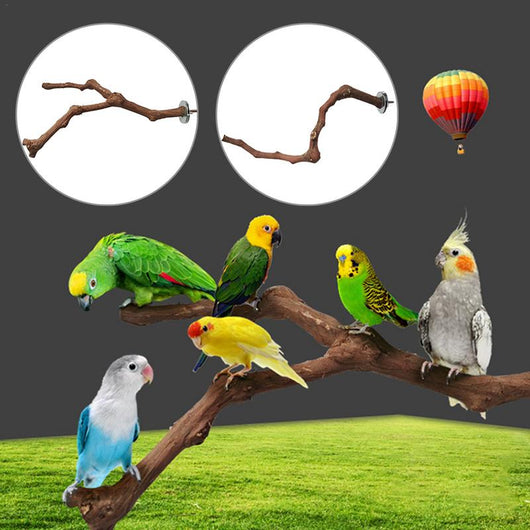 Natural wild grape wood bird perch with a branch, securely mounted inside a white wire bird cage. - Image 2