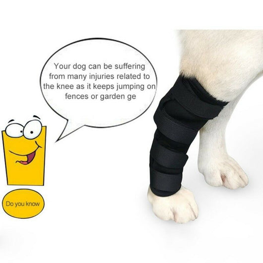 Mallas Protectoras para Perros - Prevención de Lesiones y Lamidos - Image 3