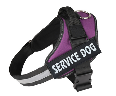 Arnés de Pecho para Perro con Correa Integrada - Image 32
