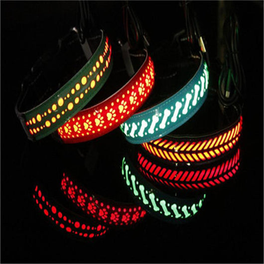 Collar LED Luminoso para Mascotas - Image 5