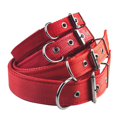 Collar para Perro de Espuma y Cuero Acolchado - Image 4
