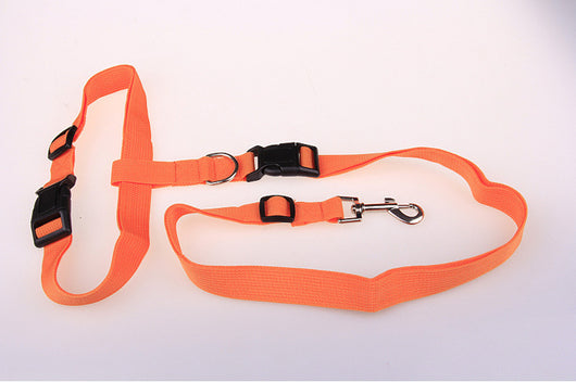 Cuerda de Tracción Especial para Correr con Perro - Image 4