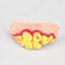 Dentes de inseto