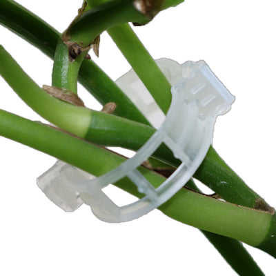 Set de 50 Pinzas para Jardinería y Plantas - Image 2