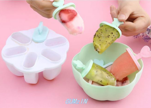 Molde para Helados Caseros Tipo Paleta - Image 12