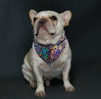 Pañuelo Absorbente para Perros - Toalla Saliva Bandana - Image 5