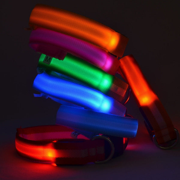 Collar LED Luminoso para Mascotas con Fibra Óptica - 6 Colores y 3 Tallas