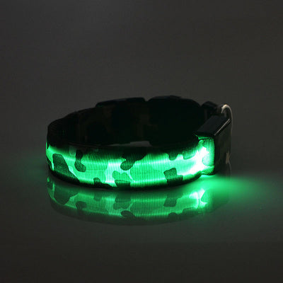 Collar Luminoso Camuflaje para Perros - Seguridad Nocturna - Image 6