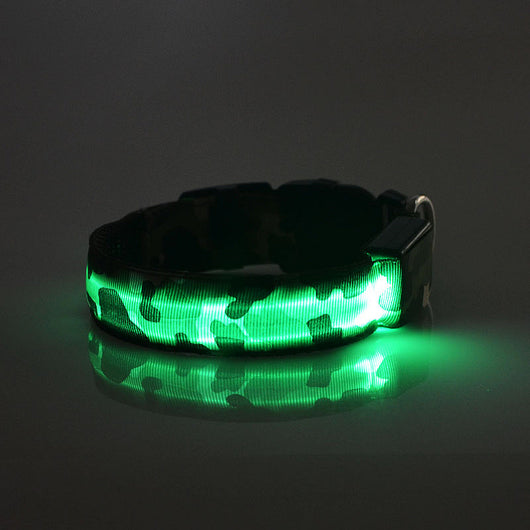 Collar Luminoso Camuflaje para Perros - Seguridad Nocturna - Image 6