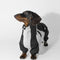 Ropa de Invierno a Juego para Mascotas