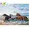 Kit de Pintura de Diamantes 5D Caballo de Mar - Bordado de Diamantes para Decoración del Hogar