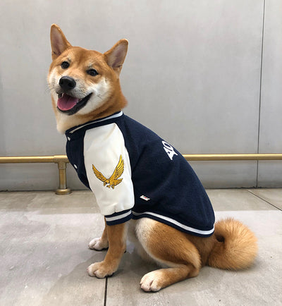 Uniforme de Béisbol de Algodón para Mascotas - Image 5