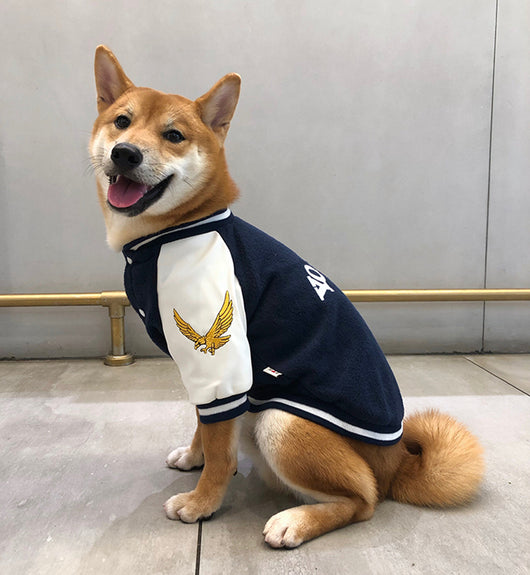 Uniforme de Béisbol de Algodón para Mascotas - Image 5