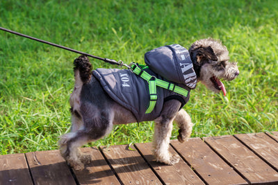 Abrigo Impermeable para Perros con Forro Polar y Capucha - Image 19