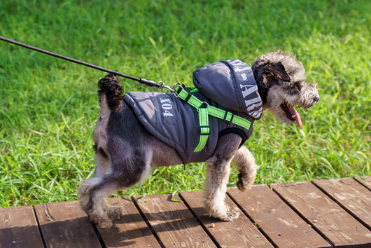 Abrigo Impermeable para Perros con Forro Polar y Capucha - Image 19