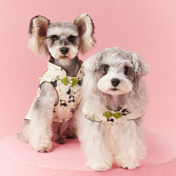 Chaleco sin Mangas Estilo Chino para Mascotas - Diseño Panda Teddy Schnauzer Bichón