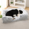 Cama Redonda Acolchada para Mascotas - Diseño Invierno