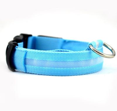 Collar LED de Seguridad para Perros - Image 5
