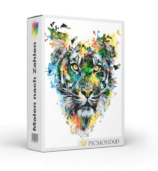 Kit Pintura por Números