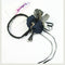 Blue with Ribbon