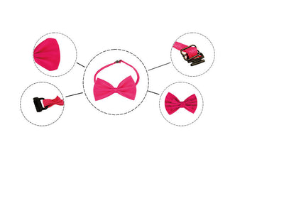 Correas y Accesorios para Mascotas con Diseño Floral y Moños Mariposa - Image 3