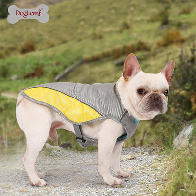 Ropa Refrigerante para Perros - Protección contra el Calor - Image 7